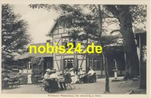 38871 Ilsenburg Harz Forsthaus Plessenburg *ca.1920