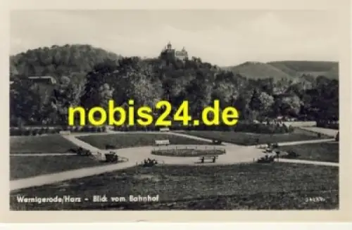 38855 Wernigerode Harz Parkanlage *ca.1955