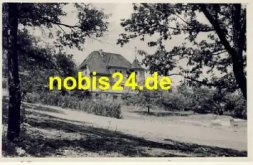 38855 Wernigerode Harz Villenansicht o 29.5.1965