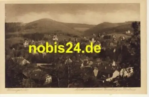 38855 Wernigerode Harz *ca.1920