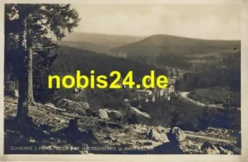 38879 Ober Schierke vom Berg  *ca.1940