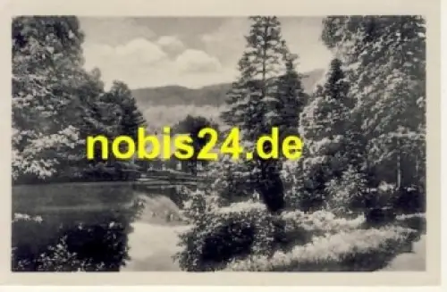 38855 Wernigerode Harz Christianental o ca.1953