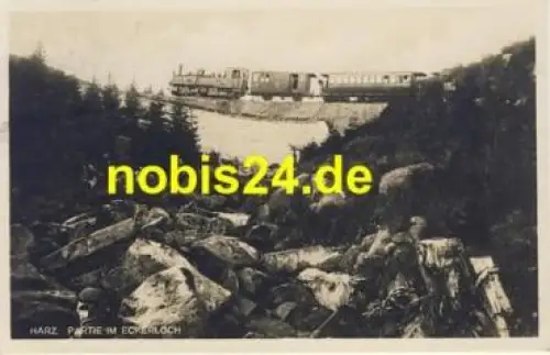 38879 Eckerloch Harzquerbahn o 20.7.1927