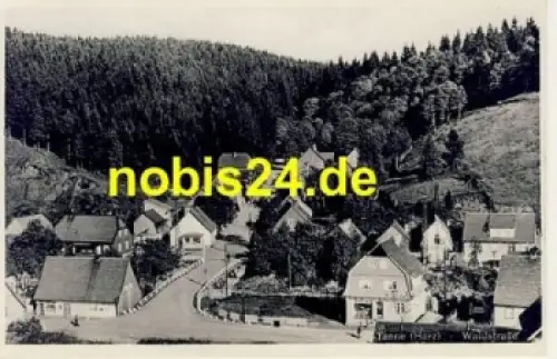 38875 Tanne Harz Waldstrasse o 23.6.1935