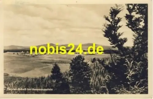 38877 Harzlandschaft bei Benneckenstein  *ca.1954