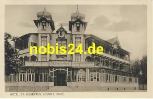 38875 Elend Harz Hotel St. Hubertus *ca.1920