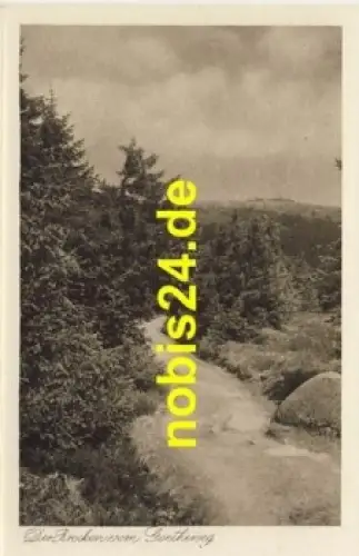 38879 Brocken vom Goetheweg Harz *ca.1935