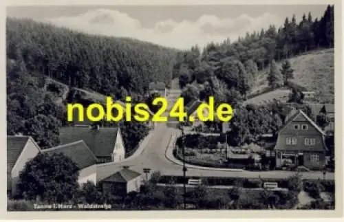 38875 Tanne Harz Waldstrasse *ca.1940