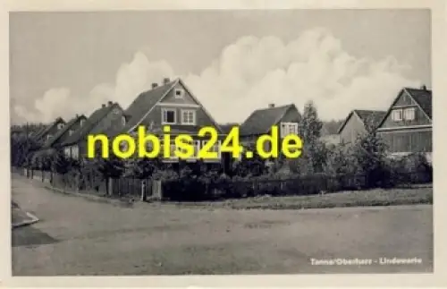 38875 Tanne Oberharz Lindewarte *ca.1940