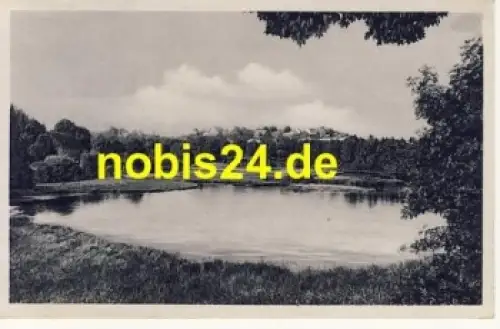 38899 Stiege Harz  Am Teich o ca.1955