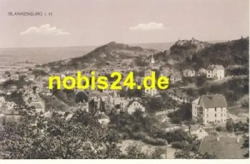 38889 Blankenburg Harz *ca.1920