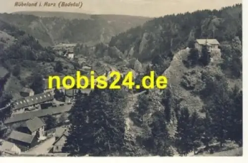 38889 Rübeland Harz *ca.1920