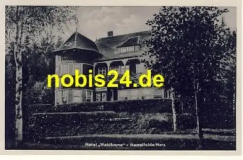 38899 Hasselfelde Hotel Waldkrone Harz  *ca.1950