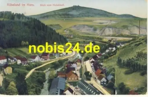 38889 Rübeland Blick vom Hohenkleef o 18.6.1928