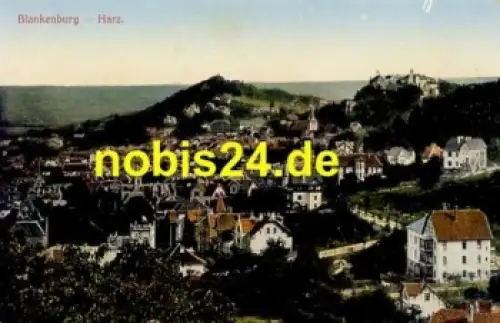 38889 Blankenburg Harz *ca.1920