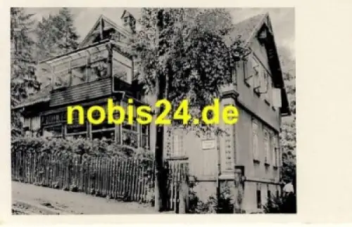 38889 Blankenburg Harz Pension Rabe o 8.6.1966
