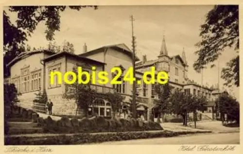38879 Schierke Harz Hotel Fürstenhöh  *ca.1930