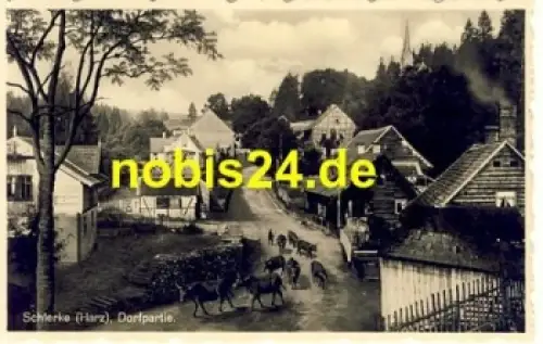 38879 Schierke Harz Dorfpartie Kühe *ca.1935