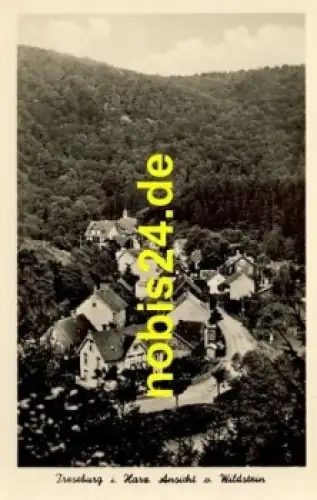 38889 Treseburg Harz *ca.1950