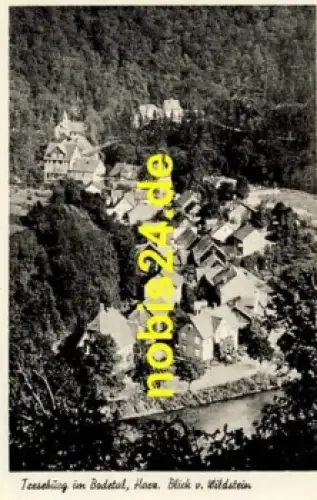 38889 Treseburg Bodetal Harz *ca.1955