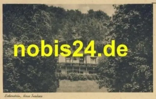 36448 Bad Liebenstein Haus Feodora *ca.1955