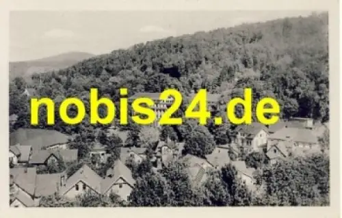 36448 Bad Liebenstein Kurhaus *ca.1953