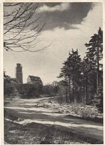 98599 Brotterode Großer Inselsberg o 4.8.1963