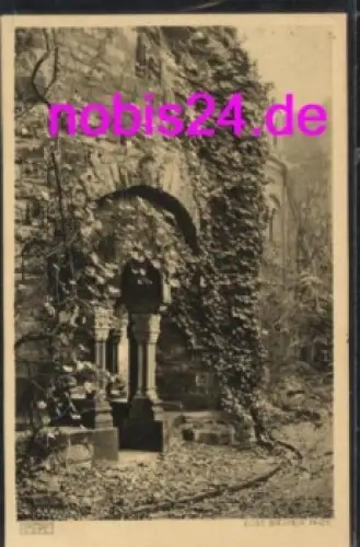 Magdeburg Klostergarten U.L. Frauen o 1925