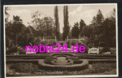 31812 Bad Pyrmont Palmengarten o 1930