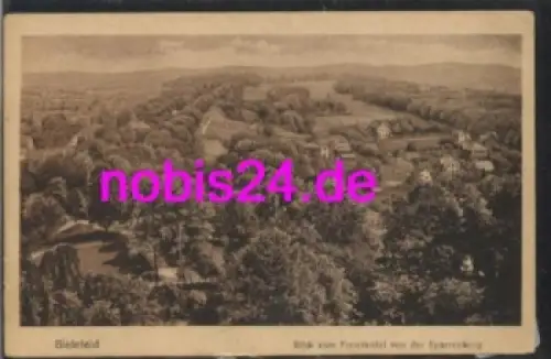 Bielefeld Freudental vom Berg *ca.1920