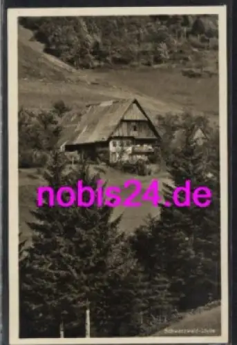 Schwarzwald Schwarzwaldidylle *ca.1930