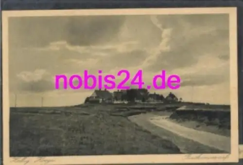 25859 Hallig Hooge Backenswarf *ca.1920