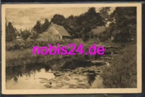 03222 Spreewald  - Wasserrosen o 14.4.1960