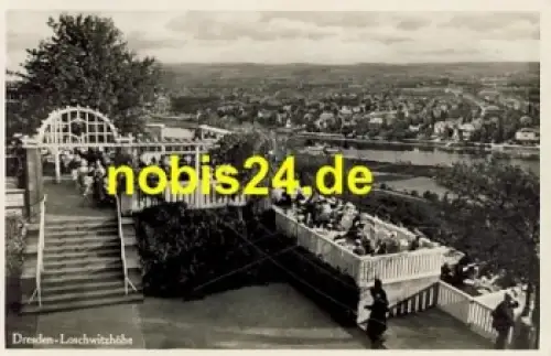 Loschwitz Dresden Loschwitzhöhe  *ca.1930