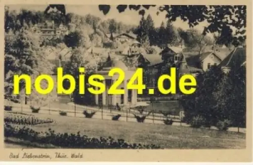 36448 Bad Liebenstein Parkanlagen *ca.1955