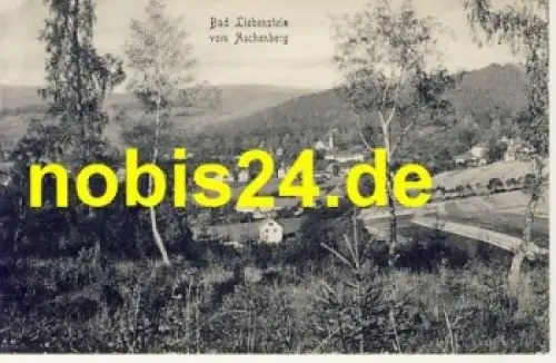 36448 Bad Liebenstein vom Aschberg *ca.1930