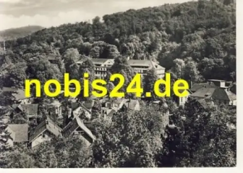 36448 Bad Liebenstein Kurhaus  *ca.1966