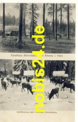 38707 Altenau Forsthaus Ahrendsberg o ca.1915