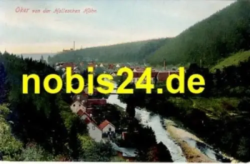 38640 Oker von der Halleschen Höhe *ca.1920