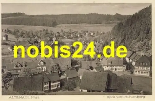 38707 Altenau Harz vom Mühlenberg *ca.1920