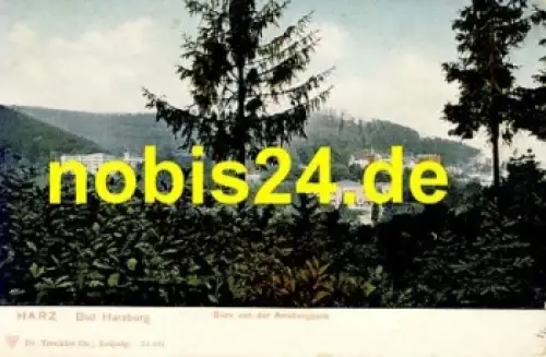 38667 Bad Harzburg Blick vom Amsbergbank*ca.1910