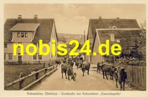 38640 Hahnenklee Damenkapelle Kühe *ca.1930
