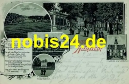 38350 Bad Helmstedt Litho o 19.8.1901