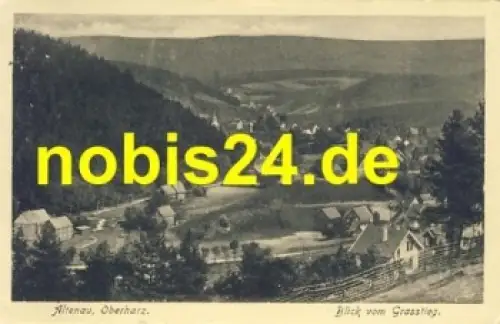 38707 Altenau Oberharz vom Grasstieg *ca.1930