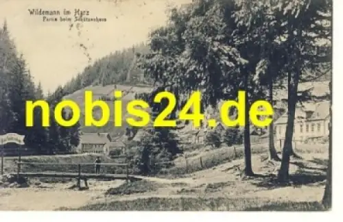 38709 Wildemann Partie Schützenhaus o 12.10.1921