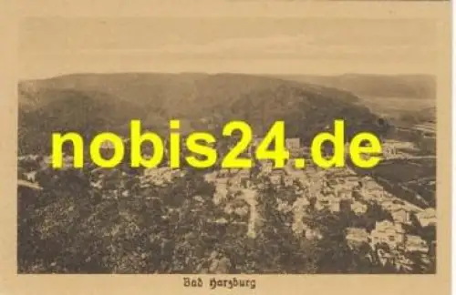 38667 Bad Harzburg * ca.1920