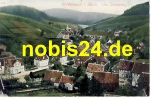 38709 Wildemann Harz Vom Schöneberg  *ca.1920
