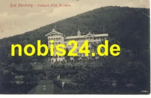 38667 Bad Harzburg Waldparkhotel Belvedere o 1917