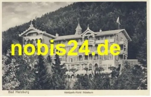 38667 Bad Harzburg Hotel Südekum *ca.1930