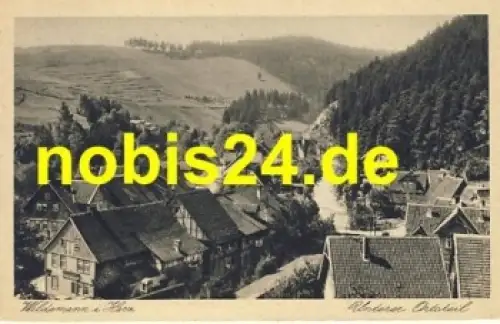 38709 Wildemann Harz Unterer Ortsteil o ca.1925